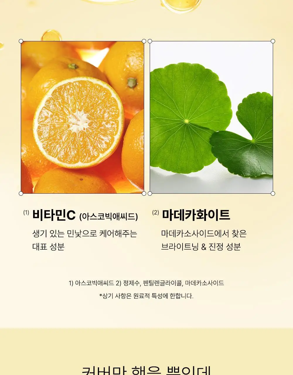 [픽서증정/리얼 톤업] 더샘 스킨 퍼펙션 글루타치온 토닝 쿠션 5colors(단품/기획) 상세페이지 21